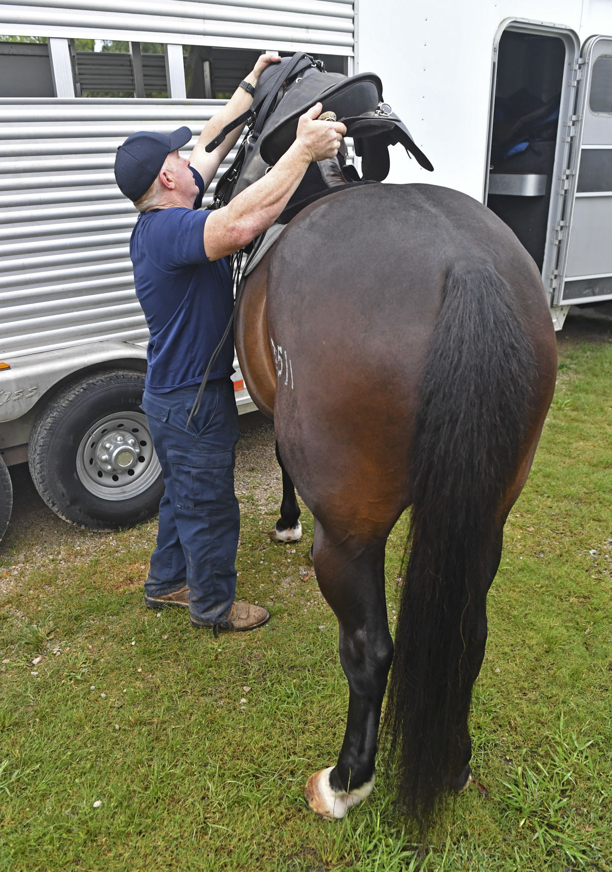 BR.brpdhorses.adv HS 017.JPG